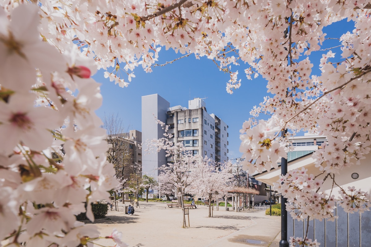 Exploring the Streets of Kyoto